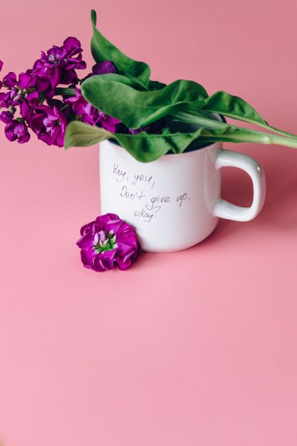 A white ceramic mug with a handwritten message reading 'Hey, you, don't give up okay?' in black ink, filled with a vibrant bouquet of purple lilacs and large, lush green leaves. The lavender flowers c